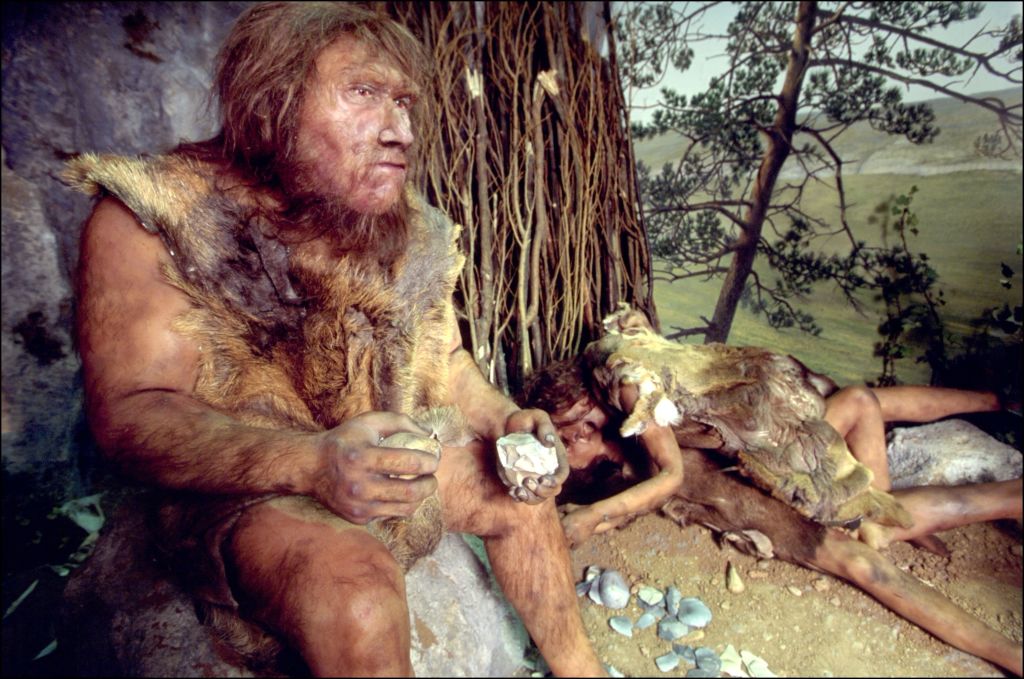 Neandertalczycy trzymaliby kosze pod zlewem? Możliwe, gdyż organizowali sobie przestrzeń mieszkalną podobnie jak ludzie