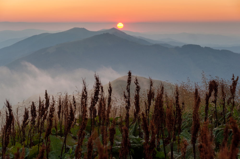 Połonina Caryńska, Bieszczady