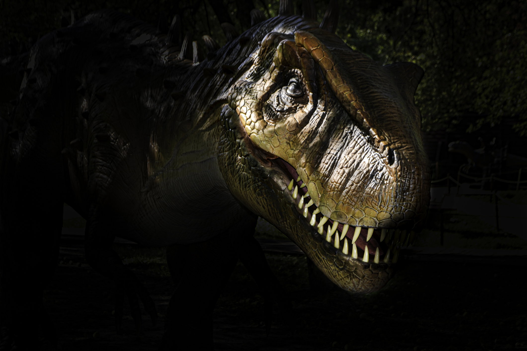 T-rex był głupkiem? Nowe dowody obalają tezę o wyjątkowej inteligencji tych dinozaurów