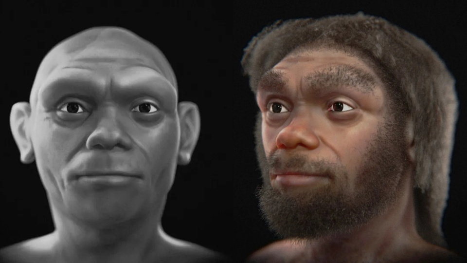 To mógł być ostatni wspólny przodek Homo sapiens i Człowieka-Smoka