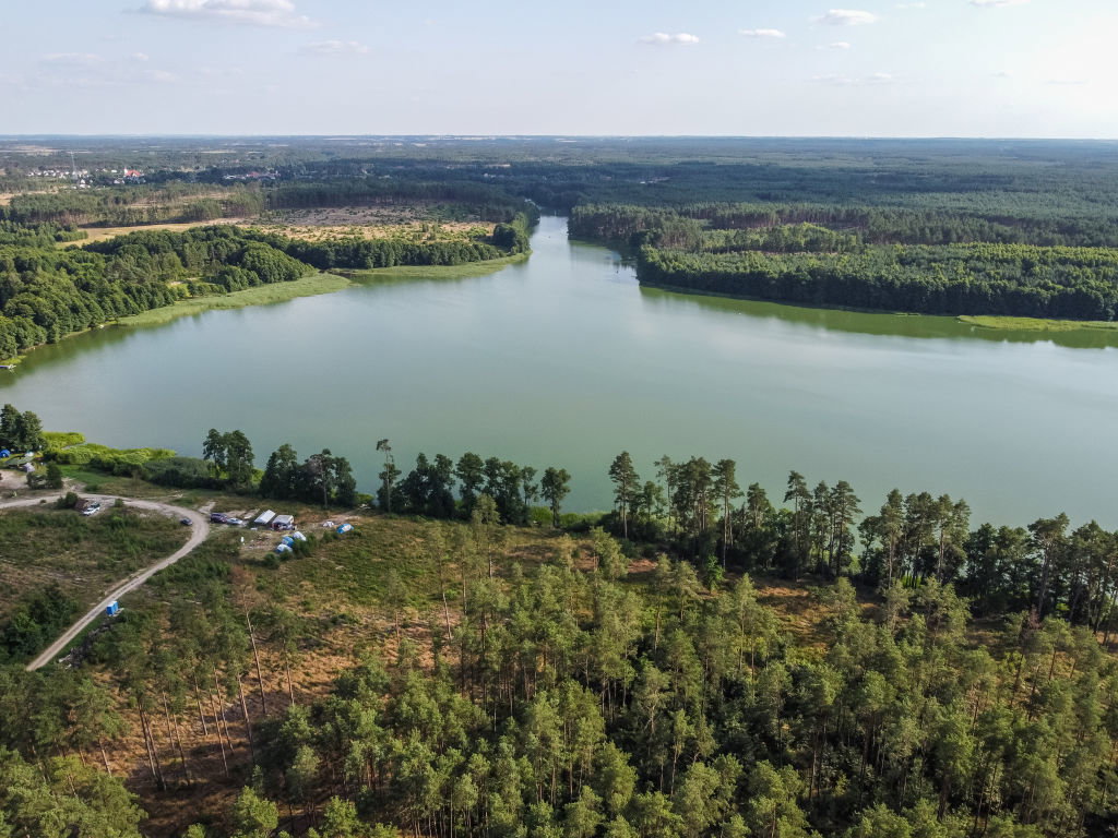Bory Tucholskie są jednym z największych lasów w Polsce. Kryją w sobie wiele tajemnic (fot. Michal Fludra/NurPhoto via Getty Images)