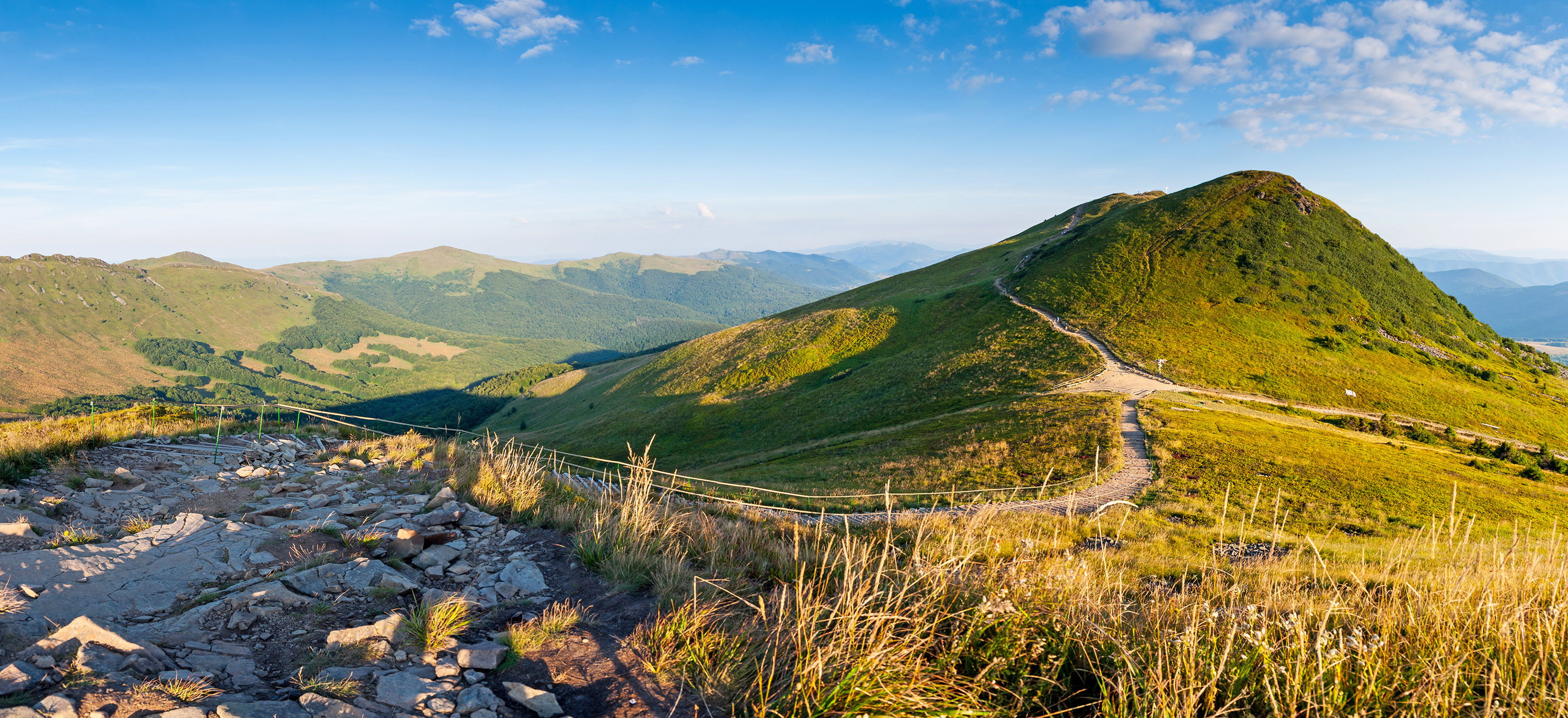 Tarnica