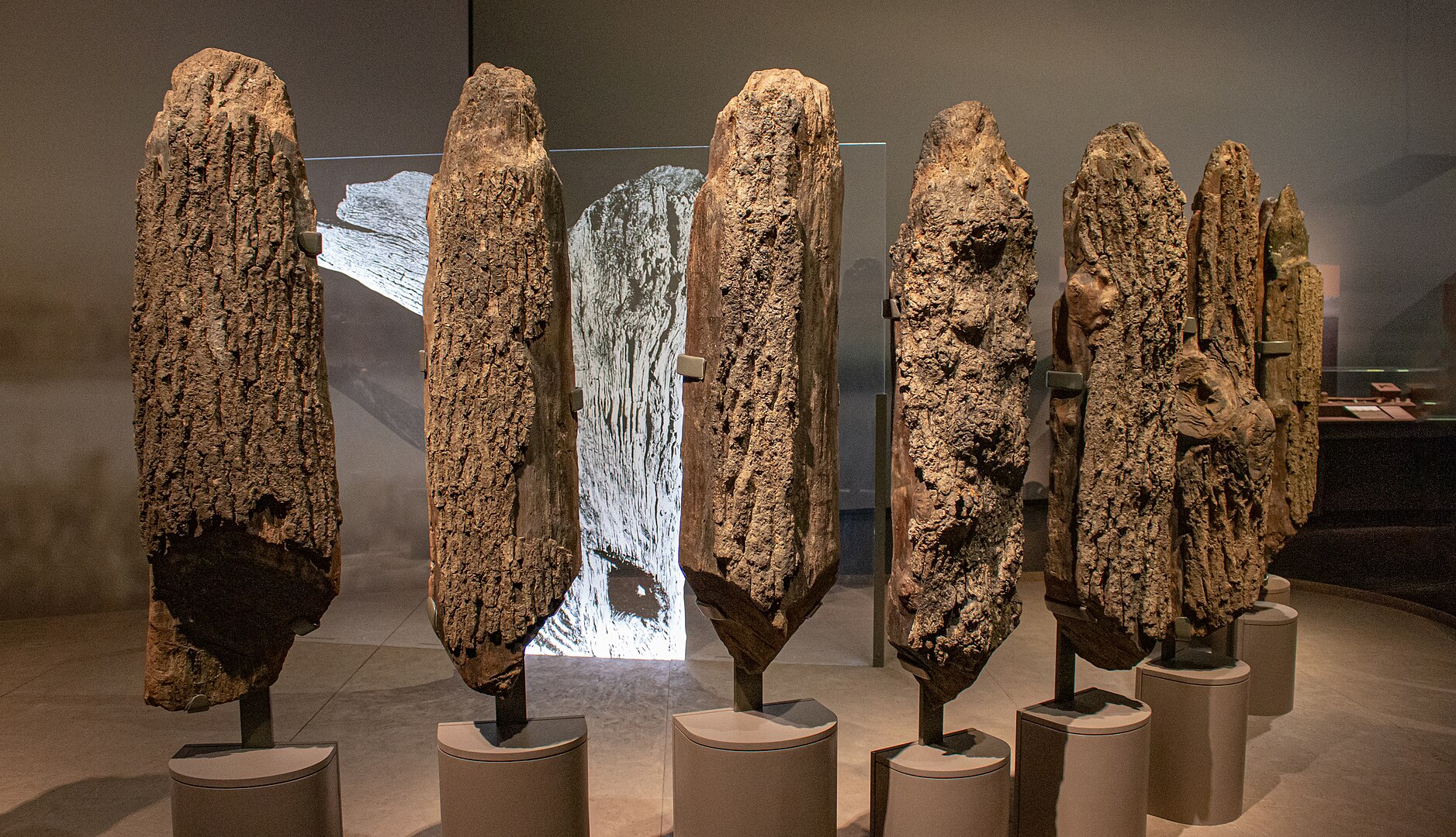 W Wielkiej Brytanii jest nie tylko Stonehenge, ale i „Seahenge”. Po co powstała ta tajemnicza struktura?