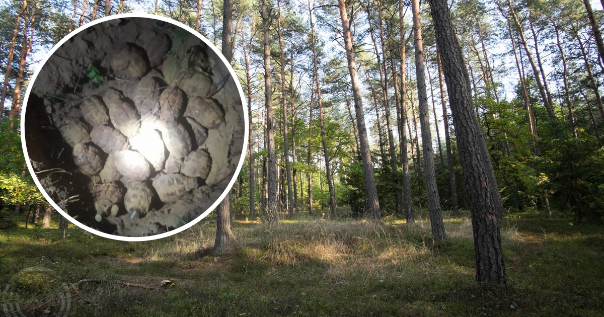 „Wybuchowe” badania archeologów. Szukali stanowisk archeologicznych, a odkryli granaty
