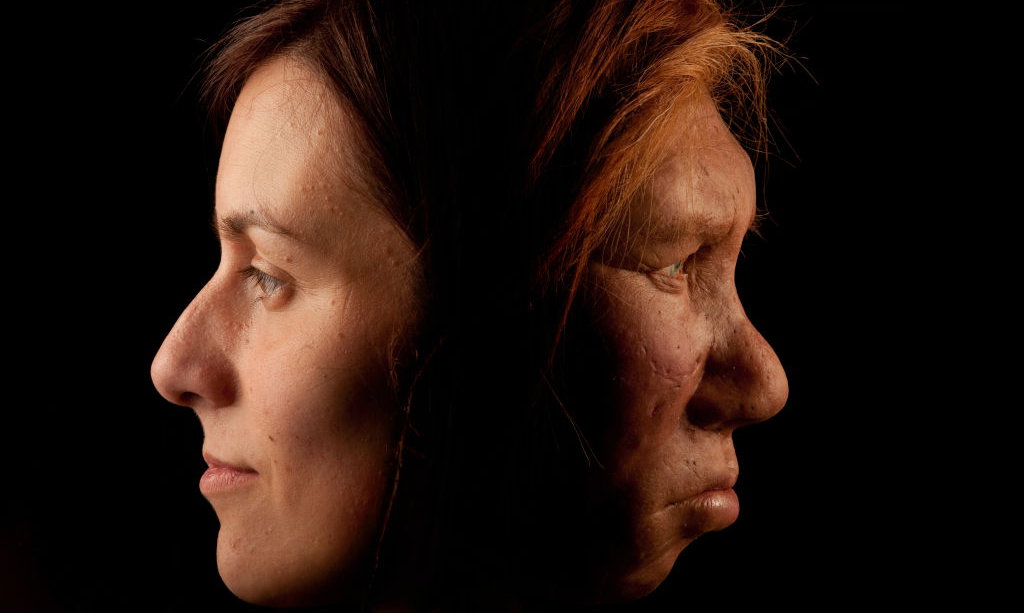 Kiedy i jak długo Homo sapiens krzyżował się z neandertalczykami?