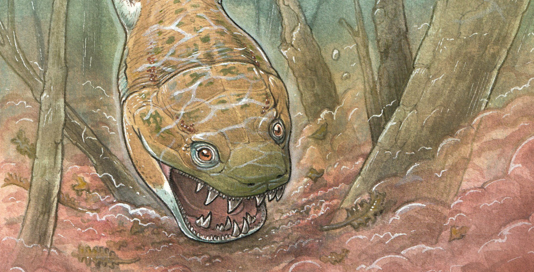 Największy drapieżnik przed dinozaurami? To może być ta wymarła salamandra sprzed 280 mln lat