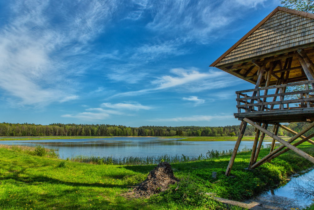 Roztoczański Park Narodowy obejmuje jeden z najbardziej malowniczych obszarów (fot. Shutterstock)