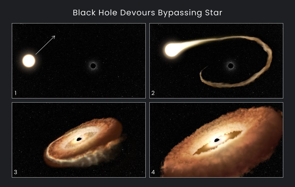 Zaobserwowano, jak czarna dziura rozrywa przelatującą obok gwiazdę i nadaje jej kształt pączka z dziurką (fot. NASA, ESA, Leah Hustak (STScI))