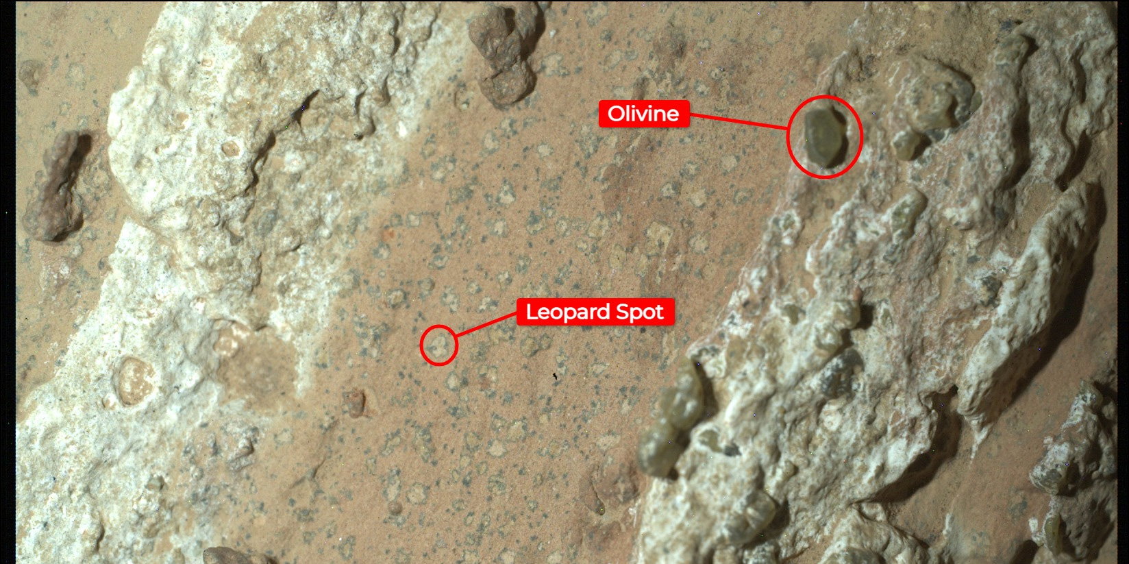 Łazik Perseverance właśnie znalazł coś, co wygląda jak ślady marsjańskiego życia. Kiedy uzyskamy pewność? (fot. NASA/JPL-Caltech/MSSS)