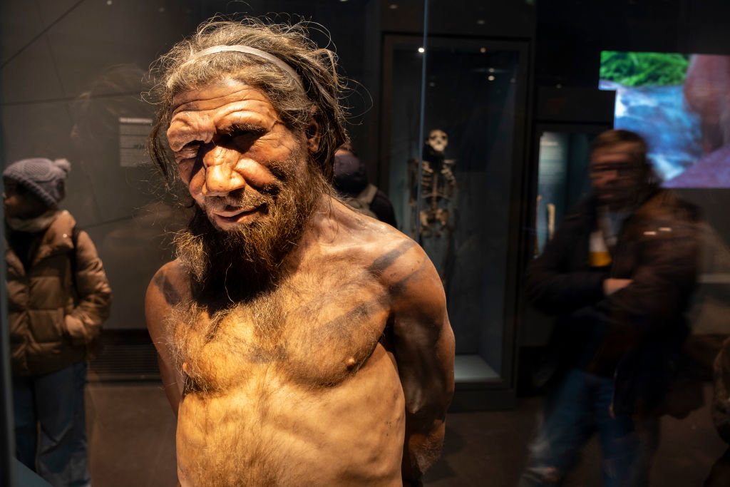 W kuchni z neandertalczykiem. Naukowcy spróbowali upiec ptaki tak samo, jak robili to wymarli krewni człowieka