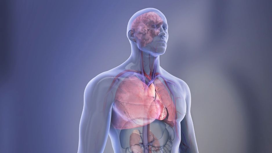 Możesz opóźnić starzenie się nawet o sześć lat. Jak? Jest na to aż osiem sposobów (ryc. American Heart Association)