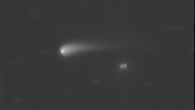Ta kometa będzie jaśniejsza od gwiazd. Wkrótce zobaczymy ją na nocnym niebie gołym okiem (fot. Gianluca Masi/The Virtual Telescope Project)