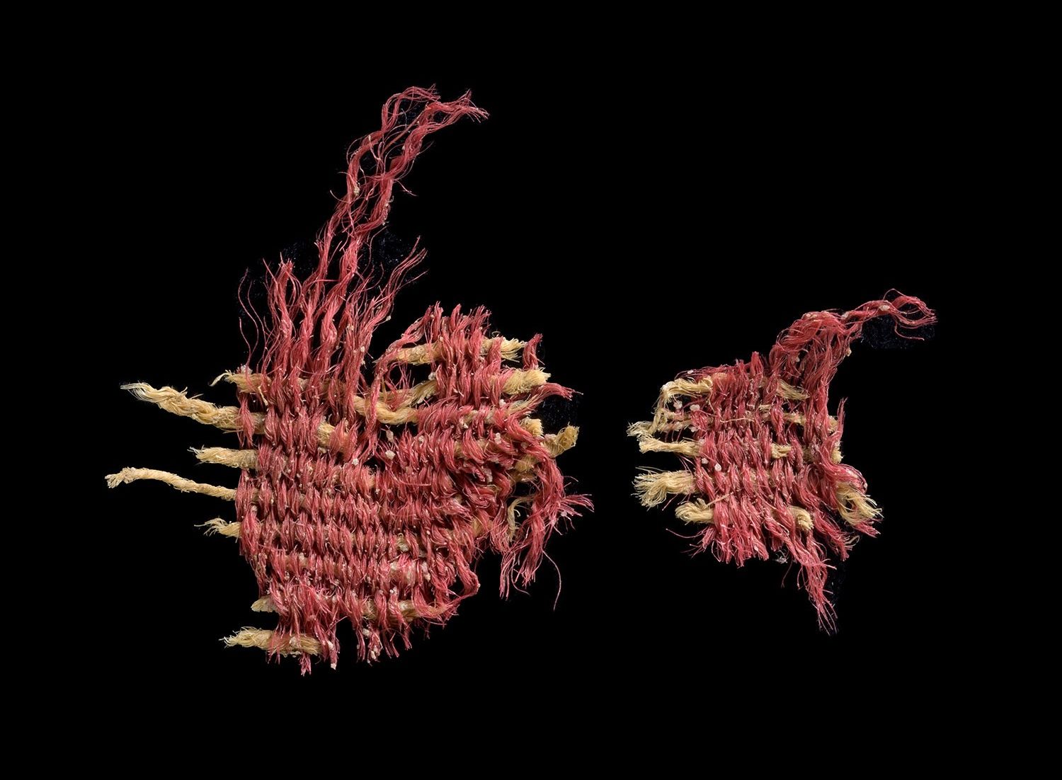 fragment szkarłatnej tkaniny