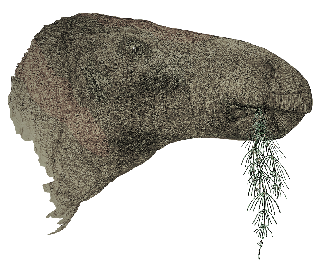 Paleontologiczne odkrycie stulecia w Wielkiej Brytanii. Najbardziej kompletny szkielet dinozaura