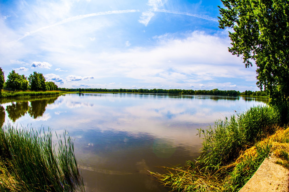 Rezerwat Stawy Milickie to klejnot Dolnego Śląska. Tu można zaznać świętego spokoju (fot. Shutterstock)