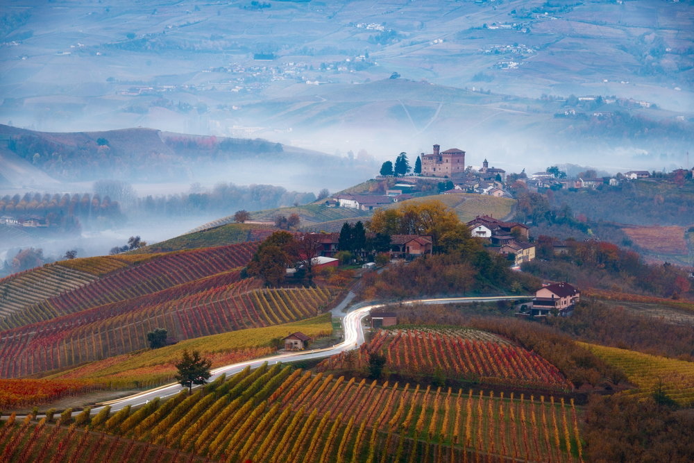 Barolo znajduje się w sercu Piemontu. Są tu średniowieczne wioski, najsłynniejsze wino i najdroższe grzyby (fot. Shutterstock)
