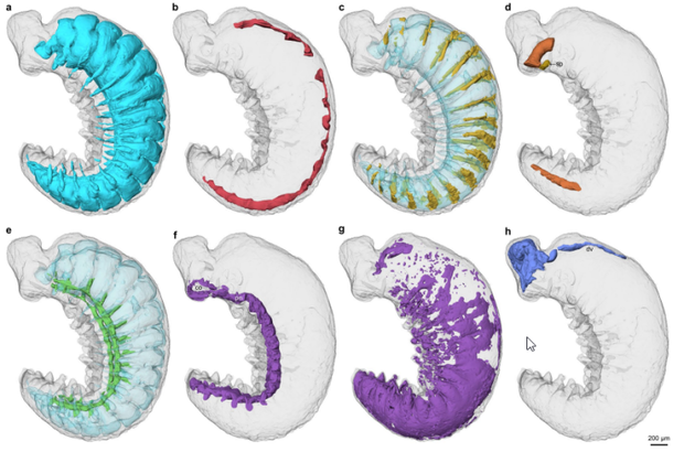 e068cb39a49bd43a9217d9a39c89d60d589a9659-bea0053