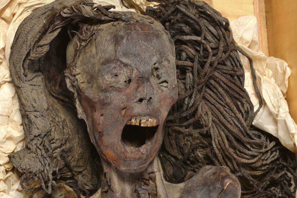 Mumia jak z horroru. Ta kobieta sprzed 3,5 tys. lat mogła umrzeć w męczarniach