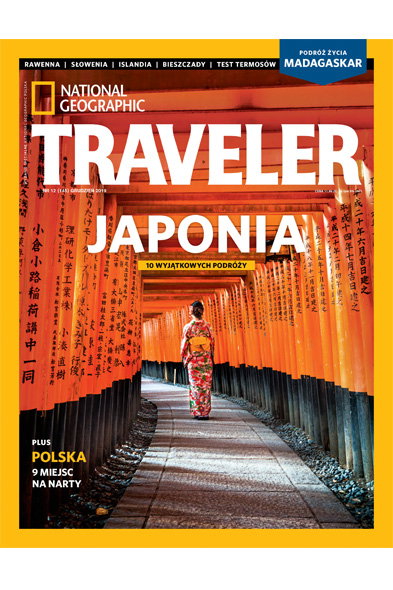 Traveler 12/2019
