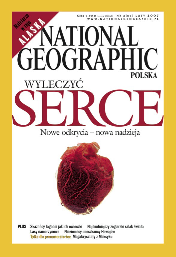NG200702
