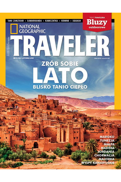 Traveler 11