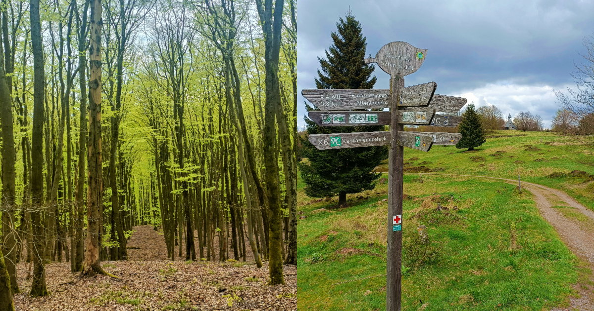 Park Narodowy Kellerwald-Edersee