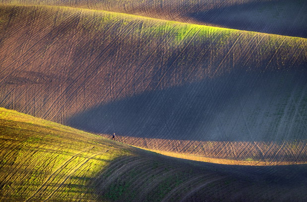Morawy