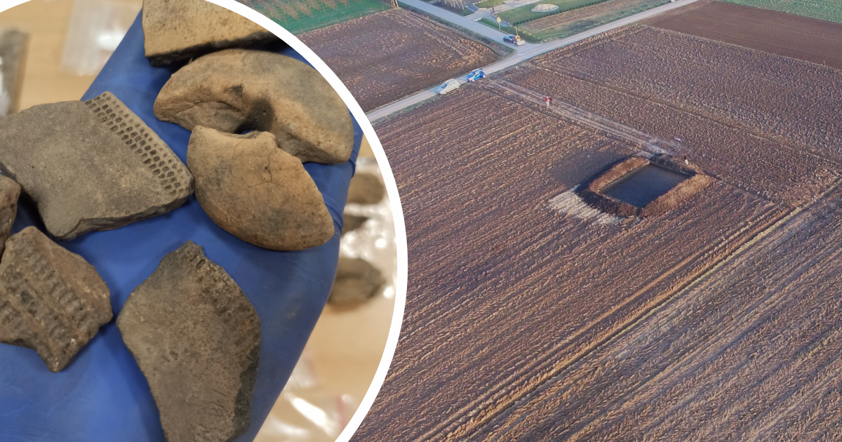 Archeolodzy badają osadę budowniczych megalitów sprzed 5,5 tys. lat. Odkryto tysiące zabytków