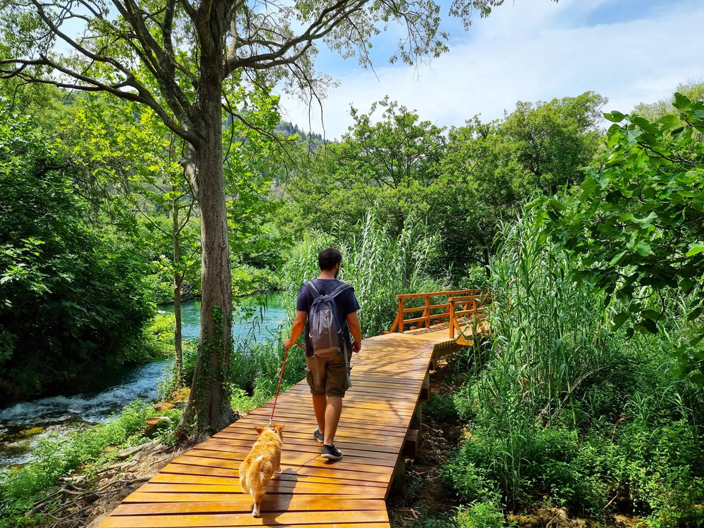 Park Narodowy Krka jest jedną z największych atrakcji Chorwacji. Zachwyca nie tylko wspaniałą przyrodą (fot. Shutterstock)