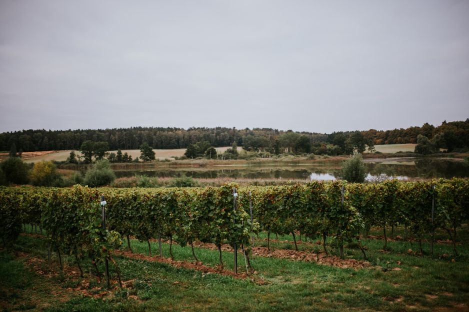 winnica turnau
