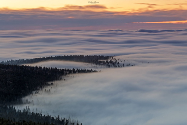 Morze chmur w Karkonoszach