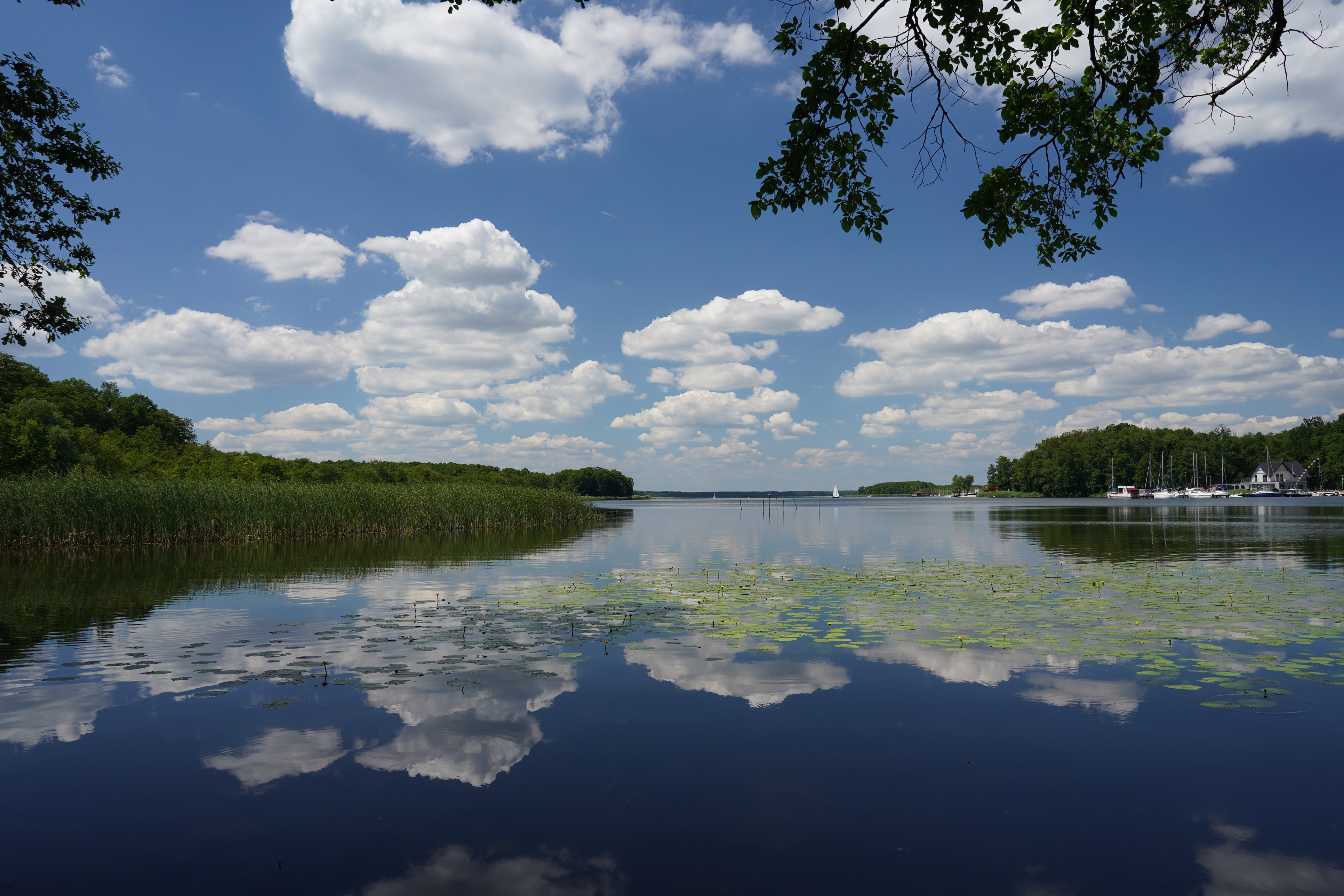Jeziora w lubuskim - TOP10 miejsc nad wodą