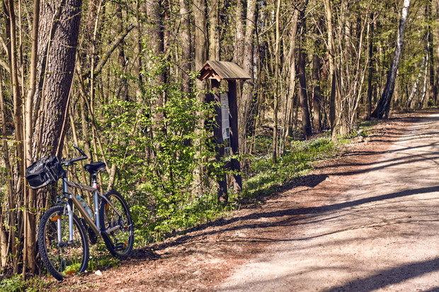 Mazowsze tropem Chopina, Kampinos
