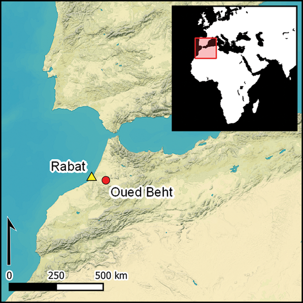 Lokalizacja Oued Beht, unikatowego stanowiska archeologicznego w Maroku/Fot. Cyprian Broodbank et. al, Antiquity 2024