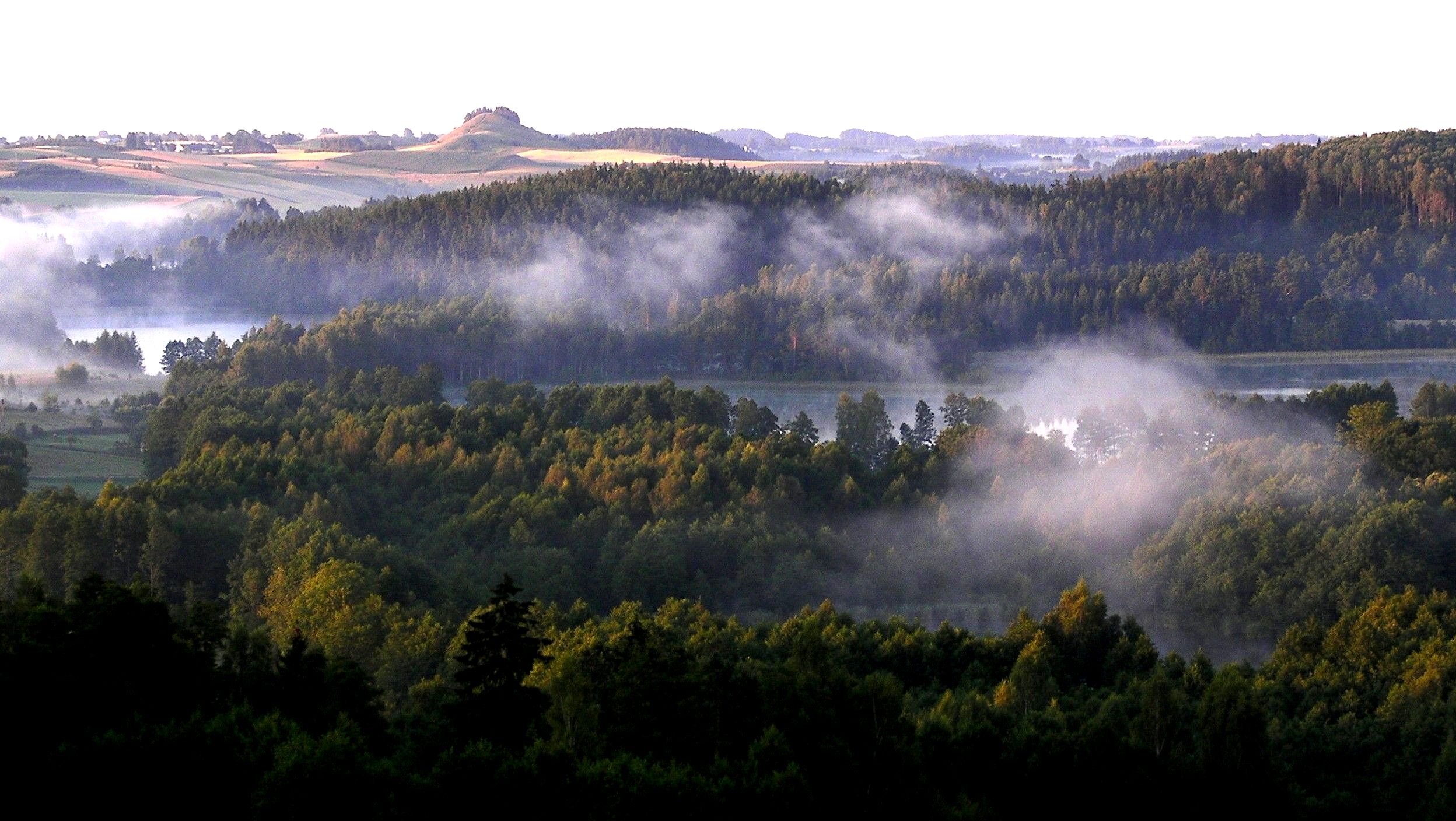Suwalski Park Krajobrazowy to prawdziwa perła Suwalszczyzny. Nie brakuje tam ciekawych miejsc