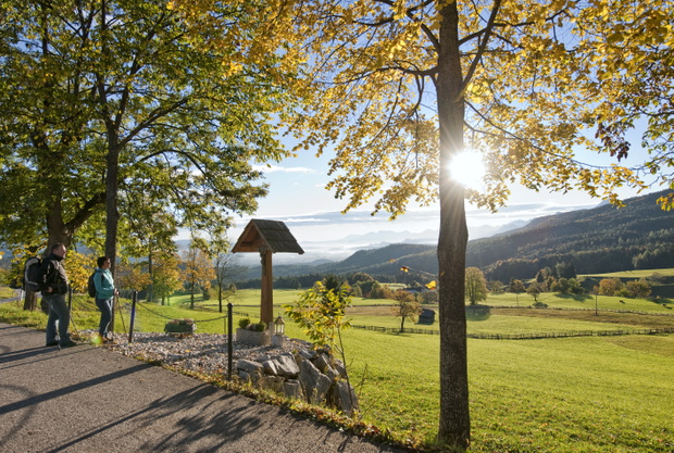 Naturpark Dobratsch_Hannes Kohlmeier_Dobratsch Rundwanderweg 2