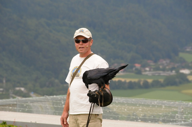 Region Villach Tourismus_Burg Landskron_Adlerarena 6