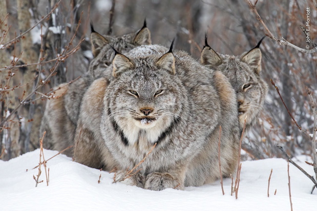 „On Watch”
