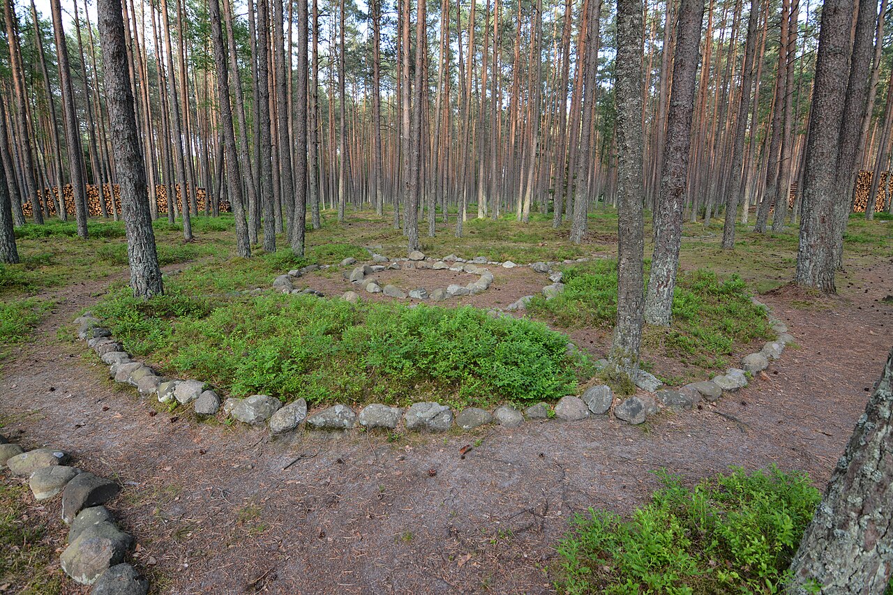 Naukowcy poznali dietę twórców polskich kręgów kamiennych. Czym się raczyli?/Fot. Kapitel/CC BY-SA 4.0/Wikimedia Commons
