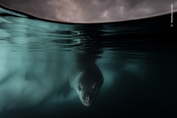 „Under the Waterline”