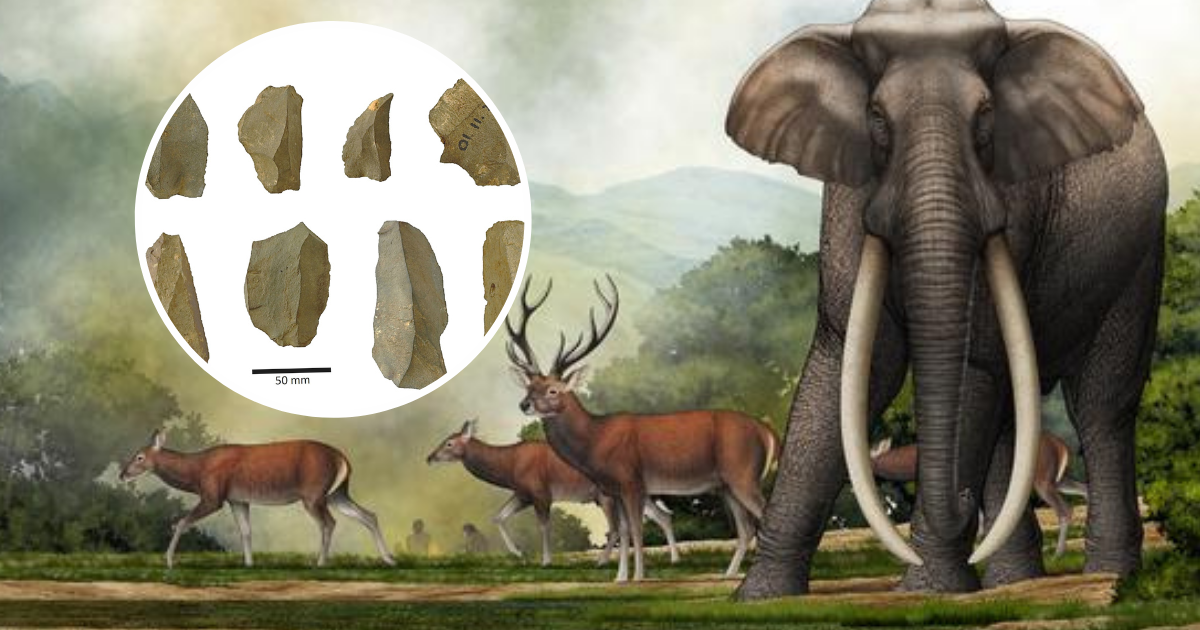 Najstarsza znana ucztana, na której jedzono słonie. Odkrycie w Indiach sprzed 400 tysięcy lat/Il. Chen Yu CC BY (P), Ghulam M. Bhat et al. Quaternary Science Reviews 2024