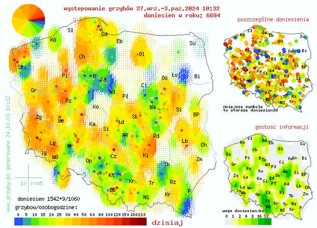Wysyp grzybów 2024 (fot. Getty Images, mikroman6 / screen grzyby.pl)