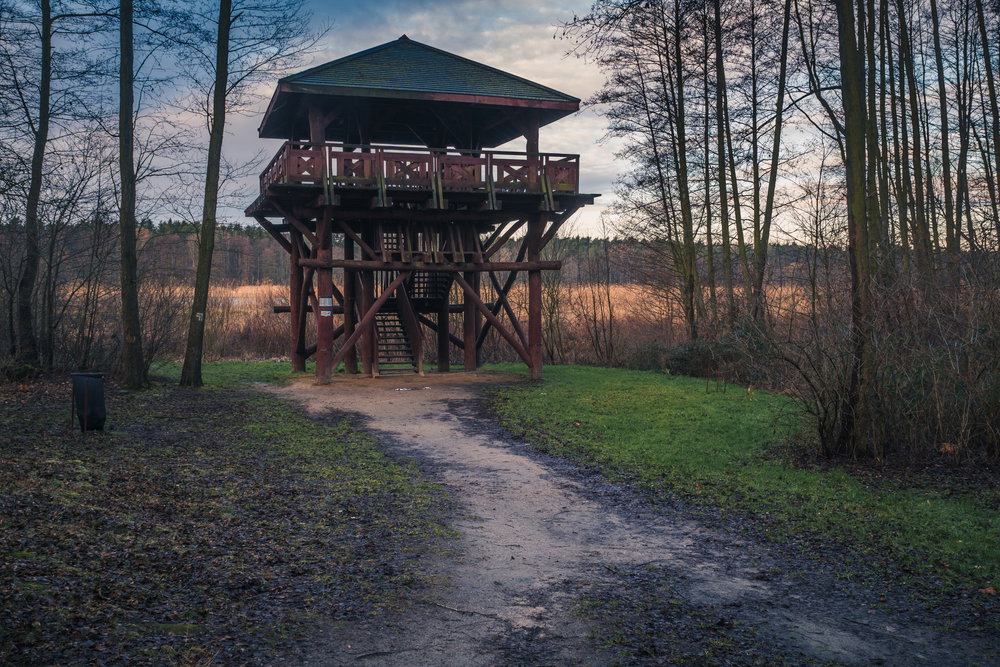 Chojnowski Park Krajobrazowy zachwyca wspaniałą przyrodą. Ta oaza spokoju znajduje się tuż obok Warszawy