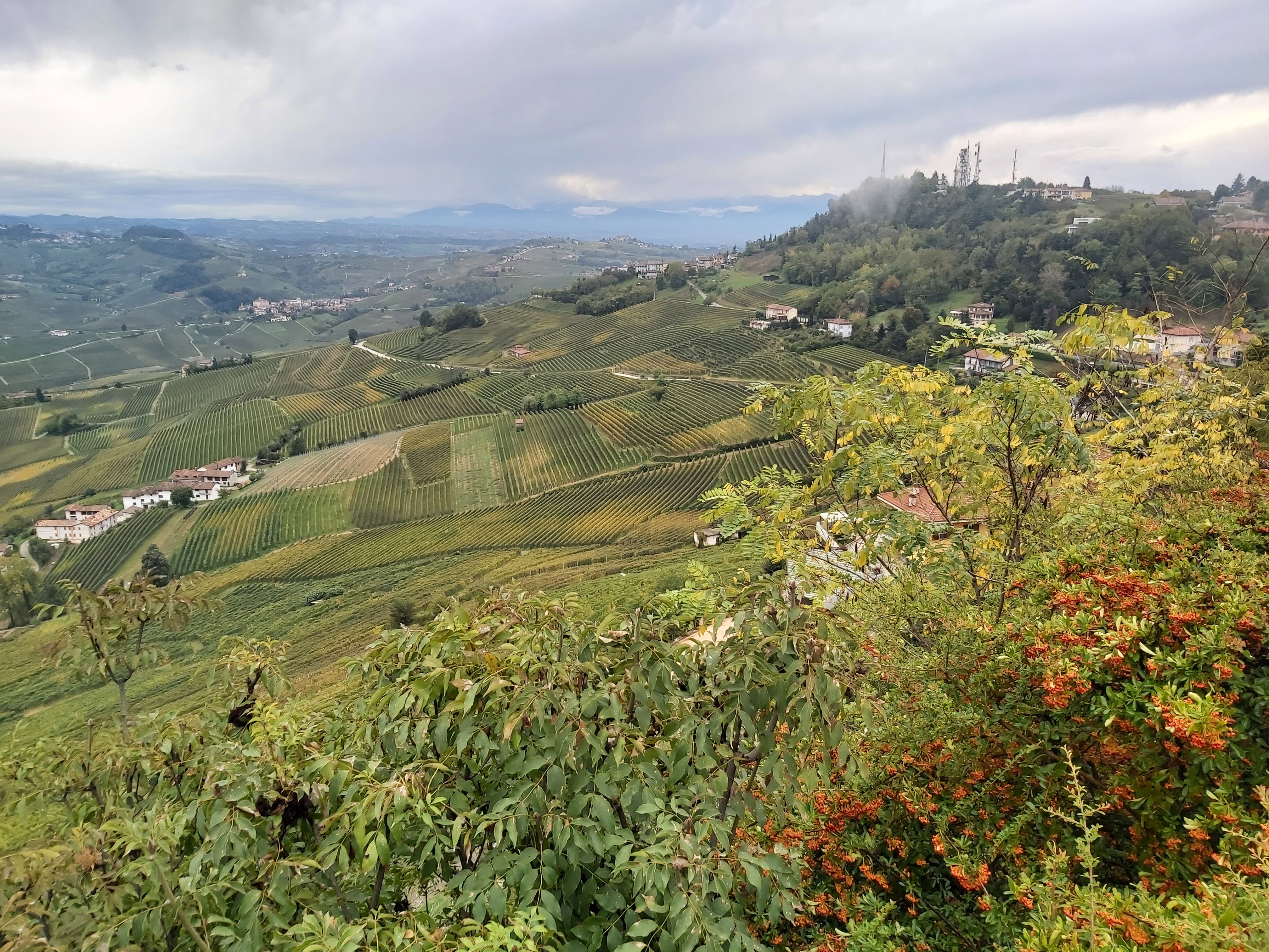 Piemont