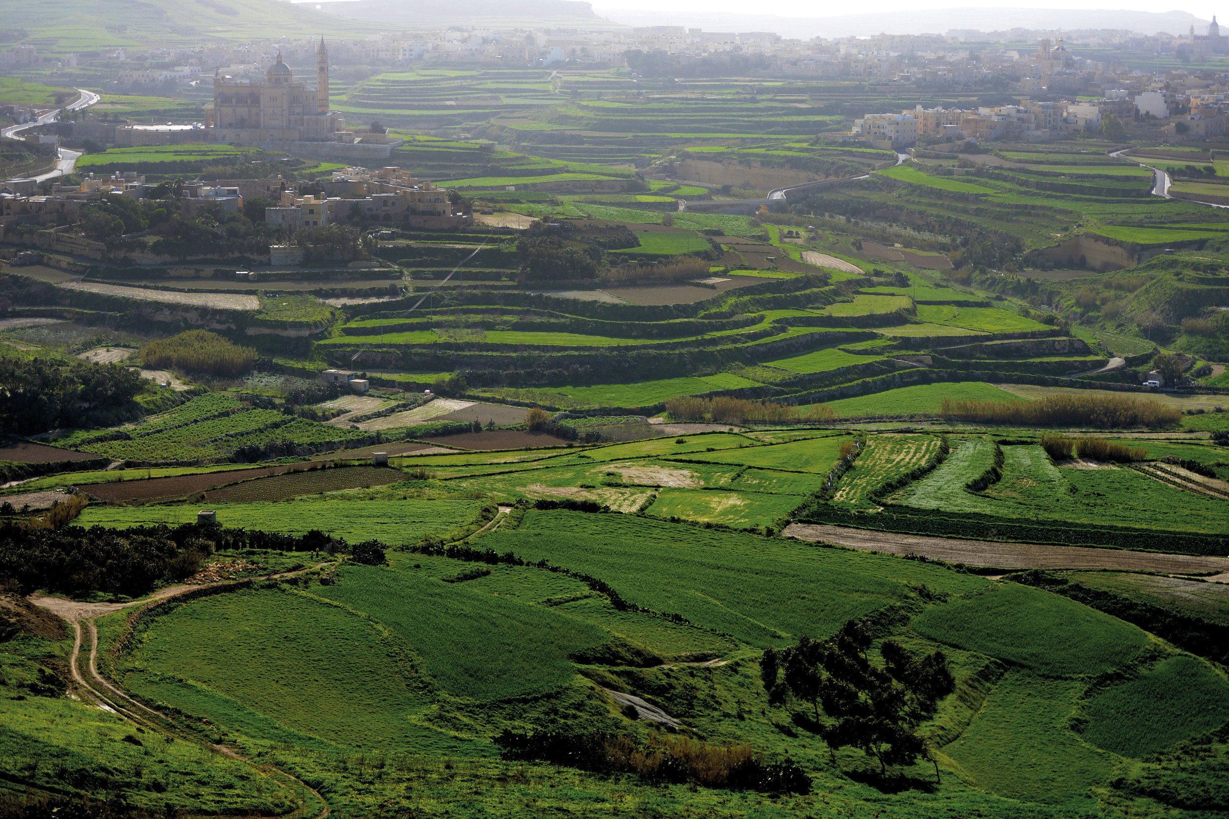 Gozo-2
