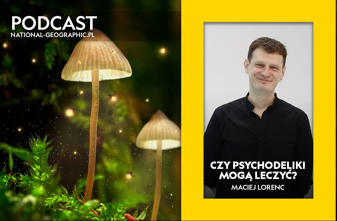 podcast psychodeliki