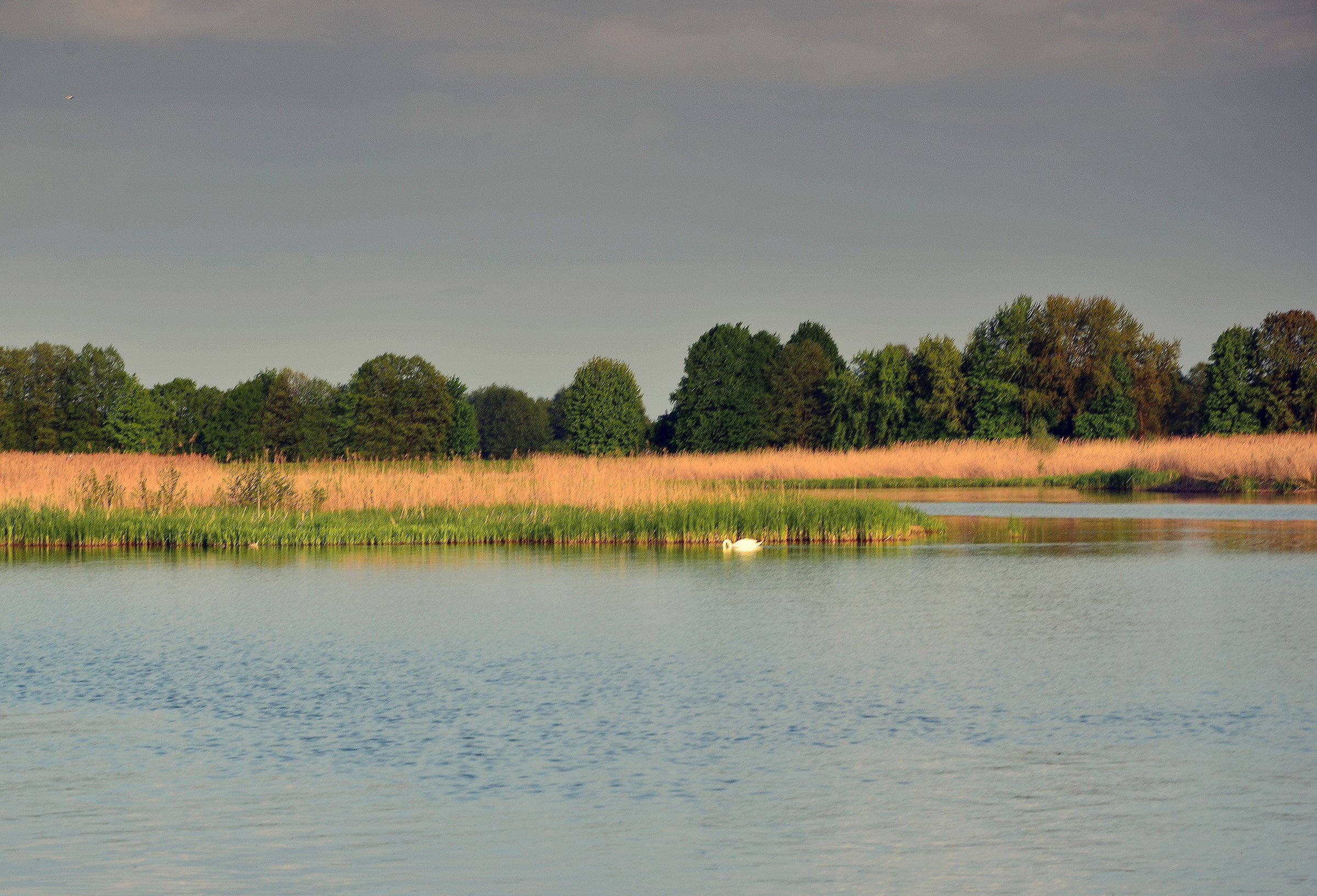 Nadbużański Park Krajobrazowy zachwyca zróżnicowaniem terenu i wspaniałą przyrodą