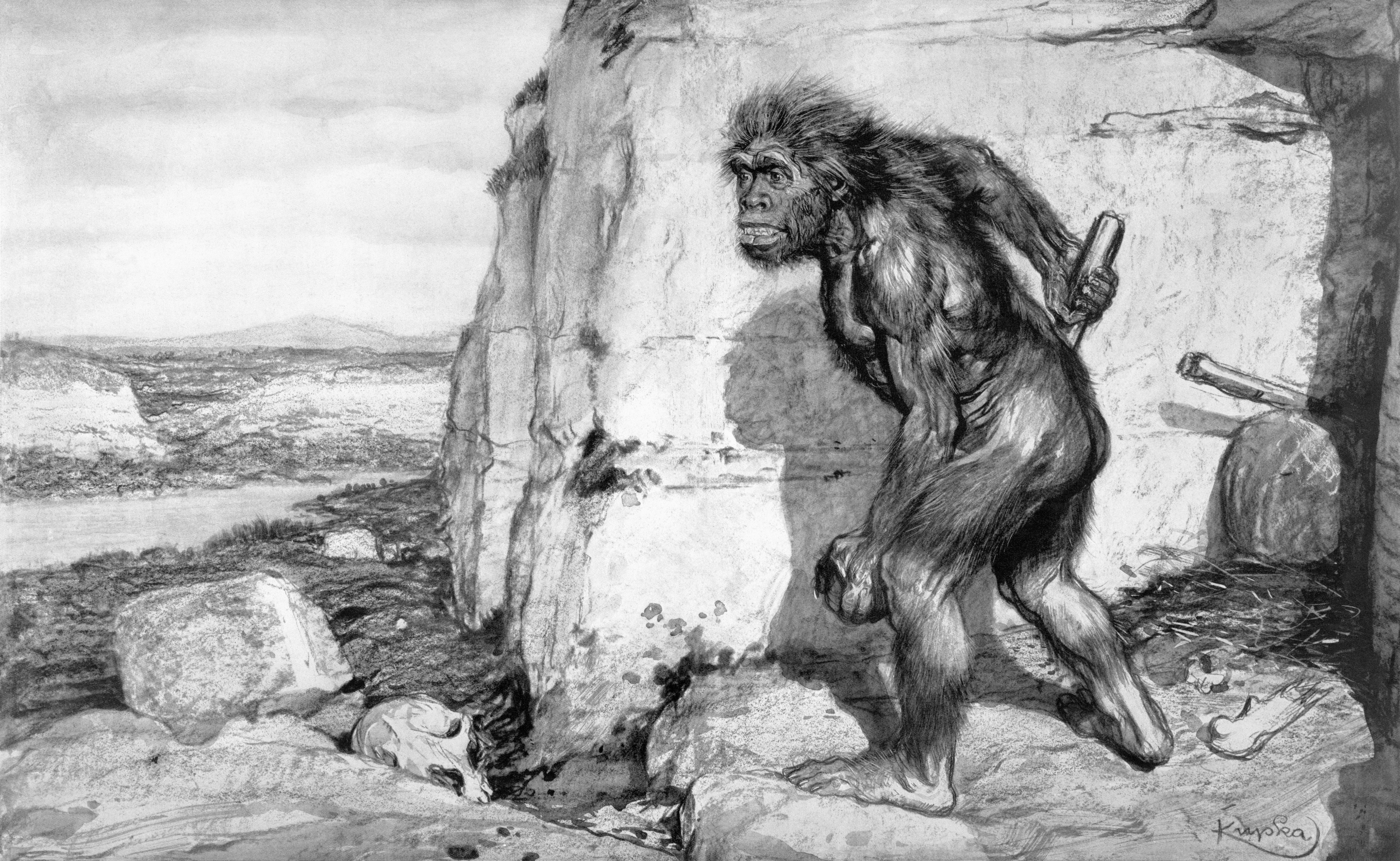 Neanderthal
