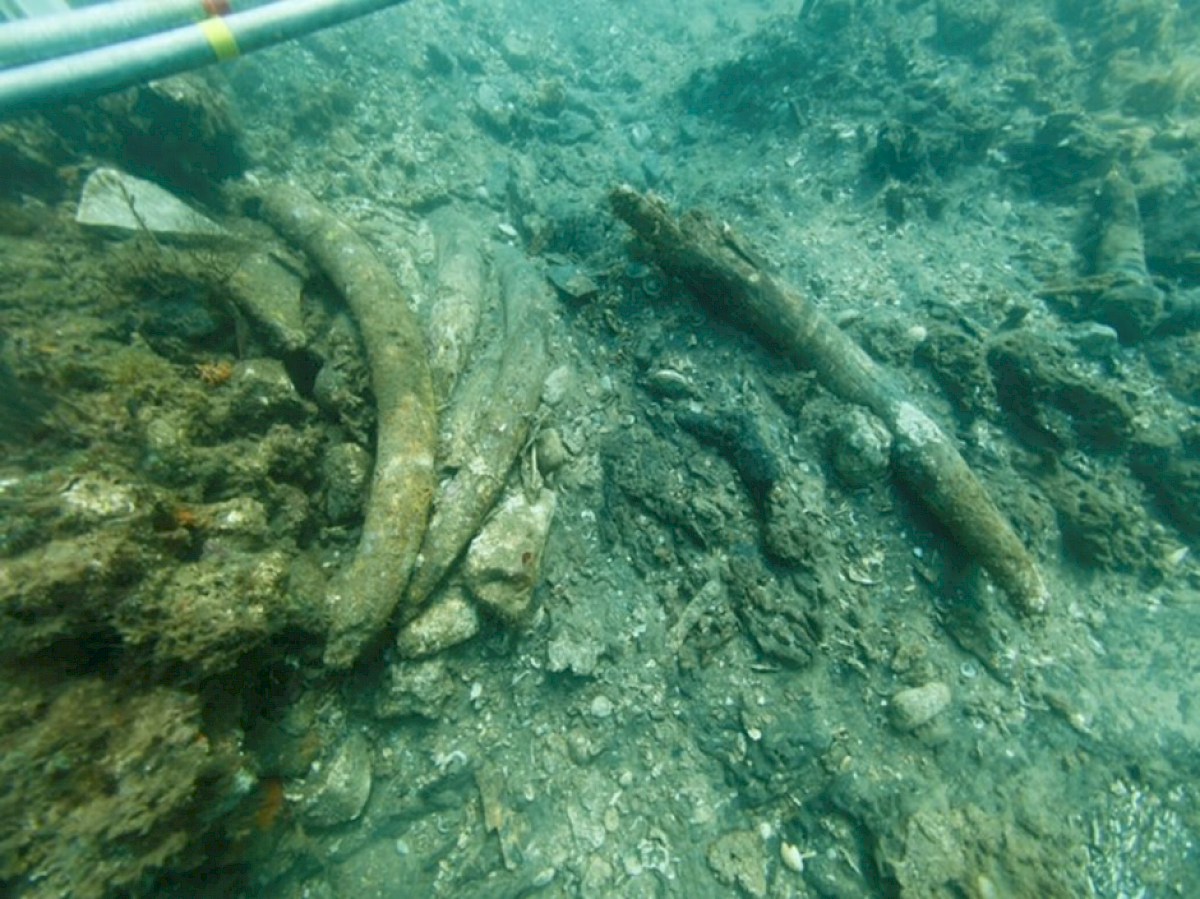 Niezwykłe odkrycie u wybrzeży Kenii. To może być wrak z floty Vasco da Gamy