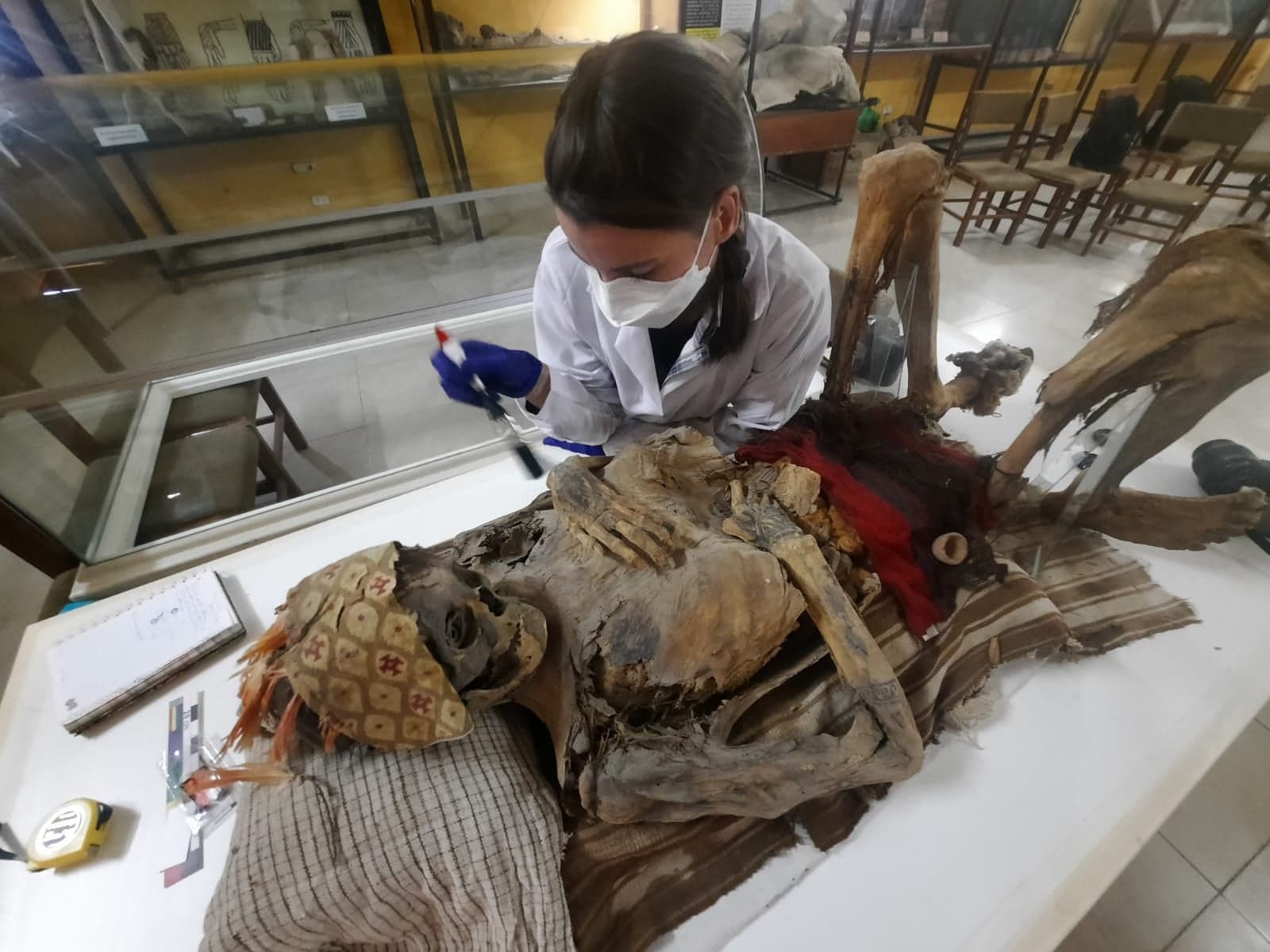 Igły cieńsze niż w dzisiejszych studiach tatuażu. Polka badała mumie sprzed 800 lat/Fot. archiwum prywatne J. Bąk